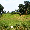 Moving train at Araku