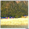 Huts from a distance 