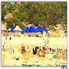Huts of Bamboo