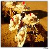 Flowers Handicrafts by local tribes 
