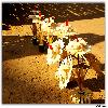 More flowers available for Rs 20 or Rs 30 