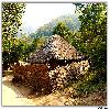 Tribals huts at Perantalapalli