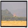 polavaram project visible from Boat