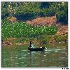 Fishing by boat in river Godavari