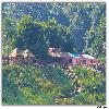 Forest bunglow  or resthouse by the side of river Godavari
