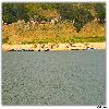Villages by the side of river 
