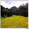 Green Aru Valley at Kashmir