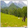 Kashmir leady at Aru valley 