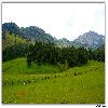 Green all around Aru valley 
