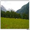 Hill and tall trees around Aru valley