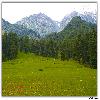 Green valley in Kashmir