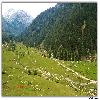 Hill and valley at Aru in Kashmir