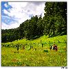 Zoo point on the way to Aru valley