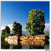 Big houseboats in Dal Lake