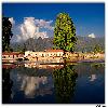 More Houseboats in Dal Lake 