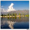 Full of Houseboats by the side of Dal Lake