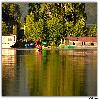 Shikara approching in Dal Lake