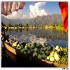 Vigitables shifted in small boats in Dal Lake 