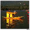 Yello Shikara in Dal Lake Srinagar