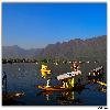 Shikara in Dal Lake waiting for tourist