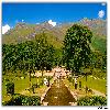 Water flowing from the hills towards Dal Lake in Nishat Bagh