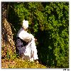 Old Man sitting Below a tree in garden