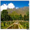 View of the garden Nishat Bagh