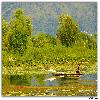 Boat in Nigeen Lake at Srinagar