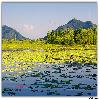 Boat in water of Nagin Lake in Srinagar