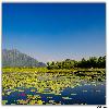 View of hills from Nagin Lake Houseboat
