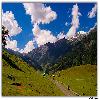 Road  to Thajwas Glacier at Sonamarg