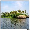 Houseboat and coconut tree by the side of river