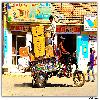 Vehicle transport at Dwaraka