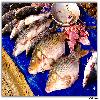 Golden Fish or Bangaru Papa