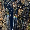 A closer look at two water falling in Jogfalls Shimoga