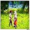 Tribes at Araku working on field 