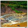 Water on the slope during rainy season
