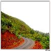 Curved road during rainy season 