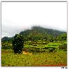 Hills covered with cloud at Araku