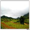 Green area around Araku valley