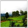Green valley during rain
