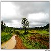 River water during rain at Araku