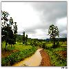 River flowing with rain water at Araku