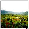 Rainy season at Araku valley 