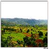 During rain Araku valley became green 