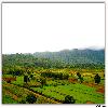 Green valley near Araku 