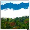 Cloud during rainy season in Araku valley 