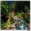 Club house by the side of beas river at Manali