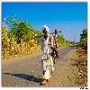 Gujarati village man on the road