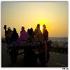 Camel cart carrying tourist during sunset time at Rann of Kutch 